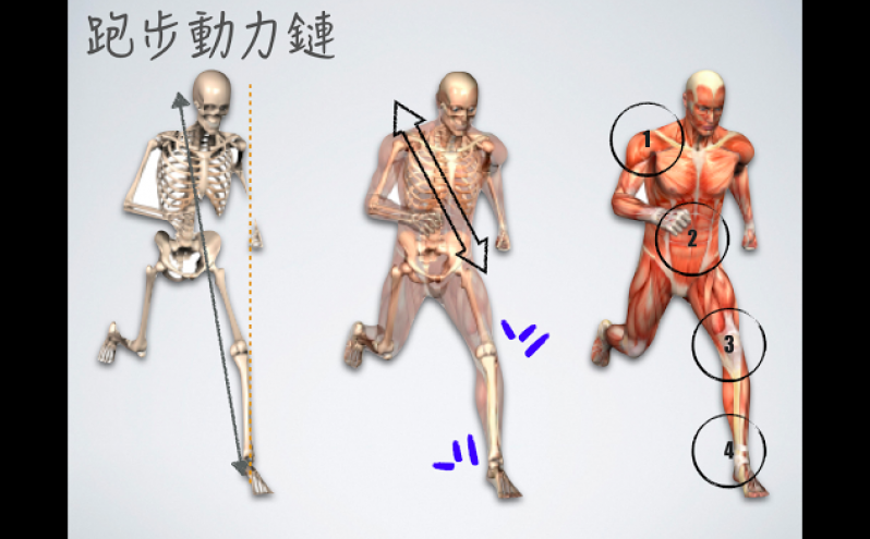 跑步伤膝盖